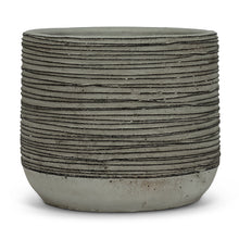 Load image into Gallery viewer, Snake Plant 6"