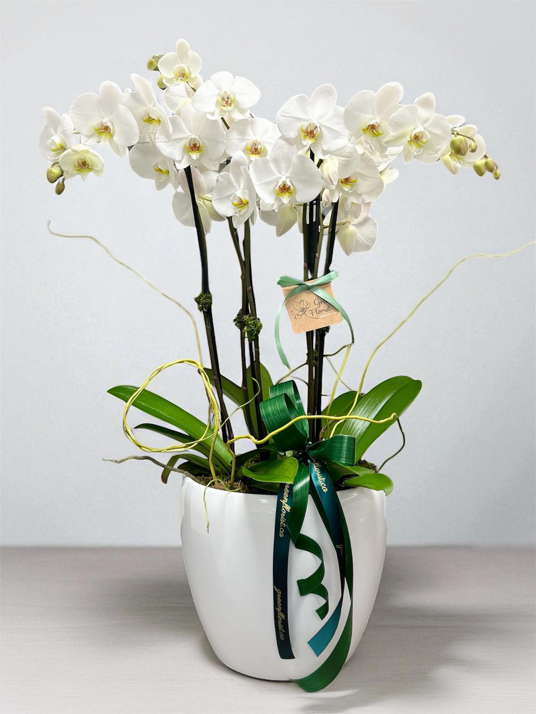The Grand Orchid Garden