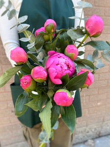 Peony Bouquet