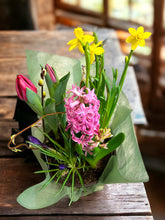 Load image into Gallery viewer, Spring Bulb Planter 8"
