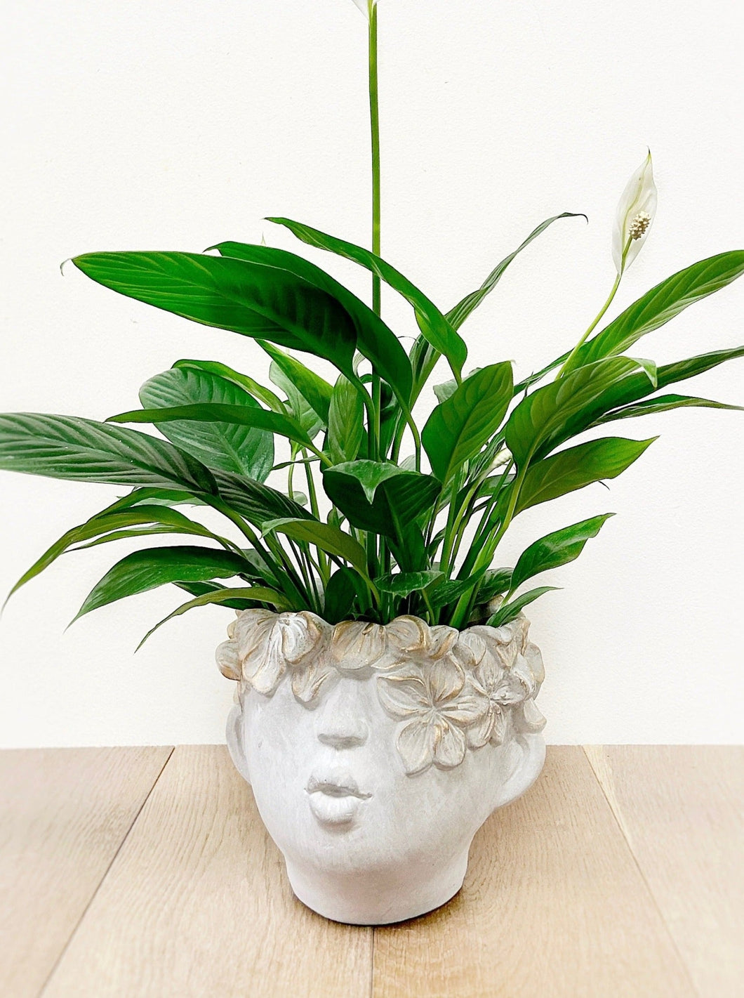 Kissing Face Planter with Peace Lily