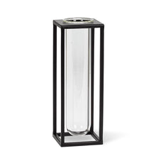 Load image into Gallery viewer, Lucky Bamboo in Tube Vase
