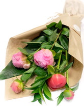 Load image into Gallery viewer, Peony Bouquet (5 or 10 Stems)
