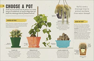 Happy Cactus: Cacti, Succulents and More