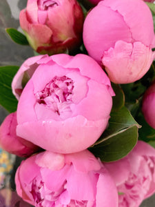 Peony Bouquet