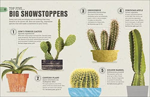 Happy Cactus: Cacti, Succulents and More