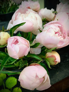 Peony Bouquet